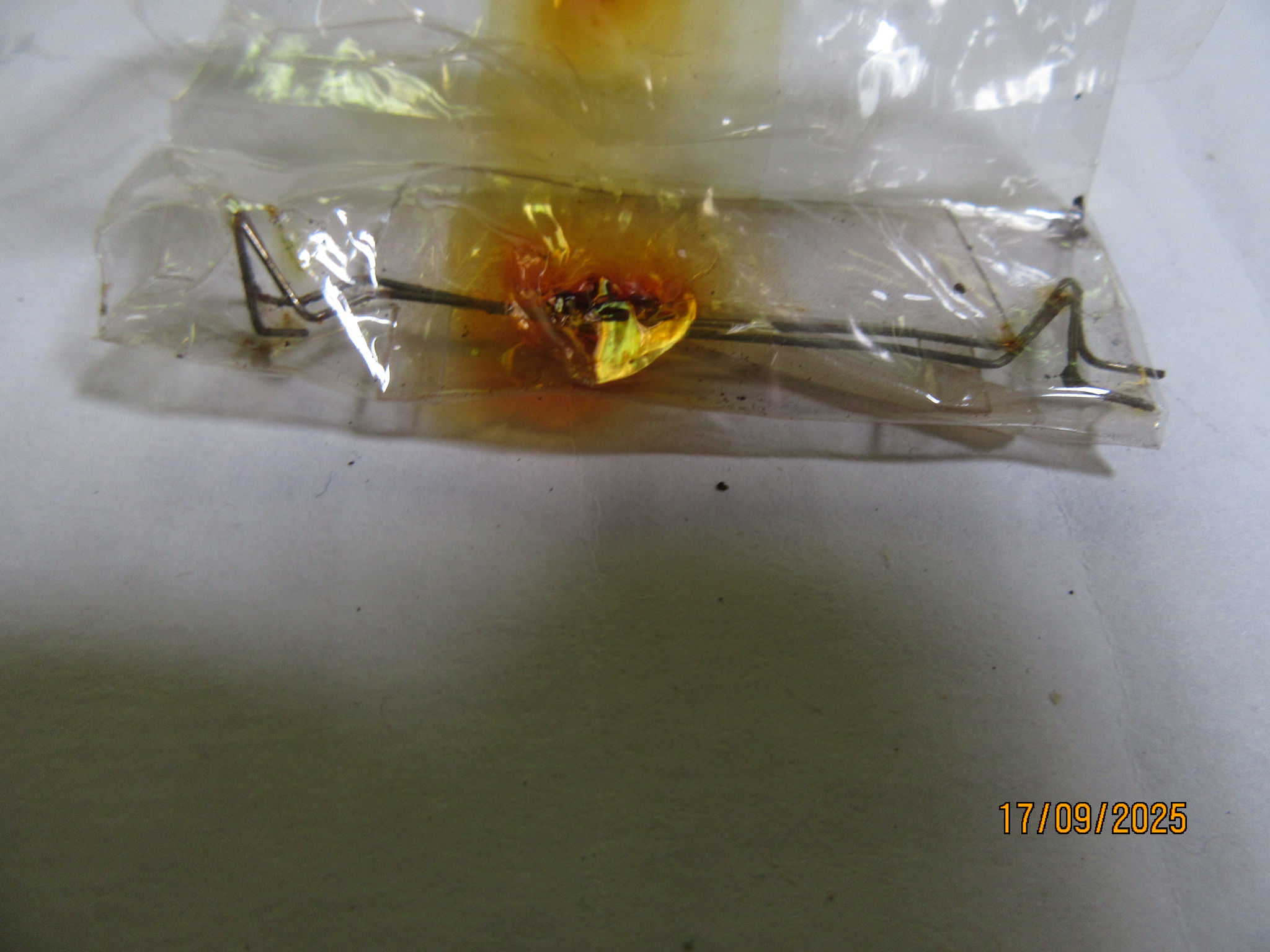 PACKAGE OF 2 EXTRA FRAGILE WIRE CONTACTS & 1 EXTRA WINDSHIELD THAT CAME WITH THE 1957 CARS & SETS 