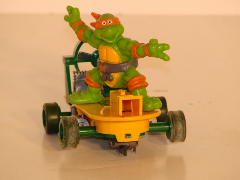 TURTLE ON A SKATE BOARD